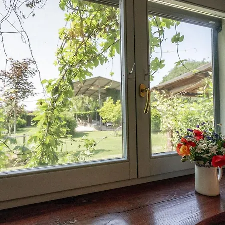 Italian Experience - Limone * Tuoro sul Trasimeno