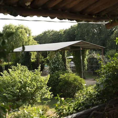 Alloggio per agriturismo Italian Experience - Limone Tuoro sul Trasimeno